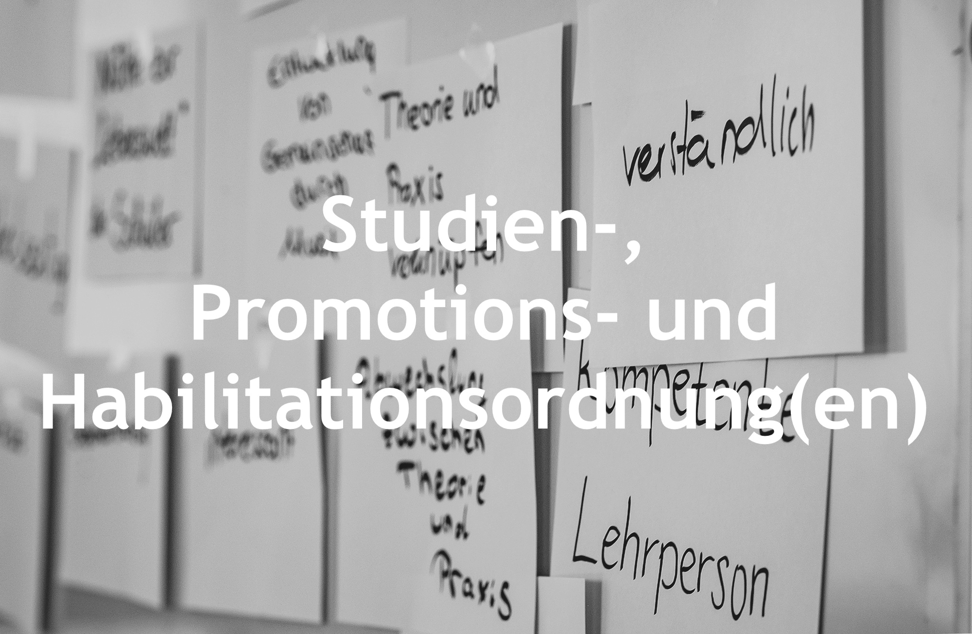 18_studien-_promotions-_und_habilitationsordnung(en)